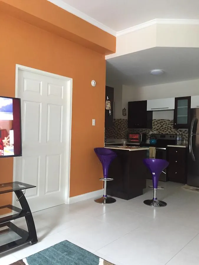 Modern Comfort Suites Mount James